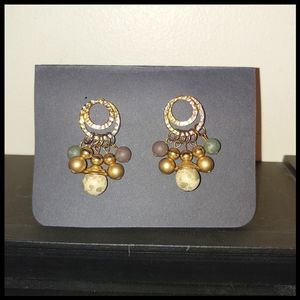 Nature Colors Hanging Post Earrings